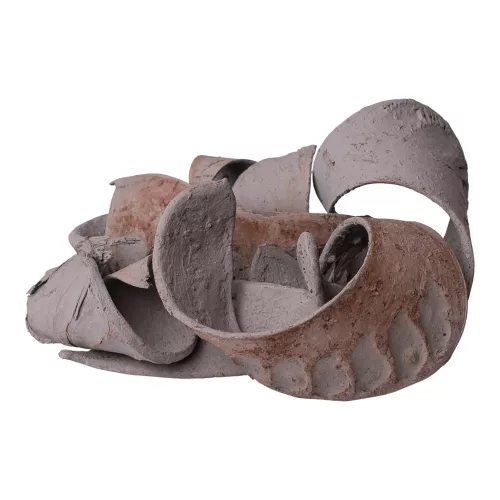 Slonie ucho 150g/bal - Popolavosivá