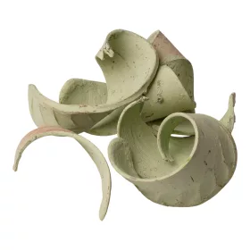 Slonie ucho 150g/bal - Šalviová zelená