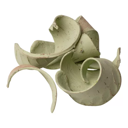 Slonie ucho 150g/bal - Šalviová zelená