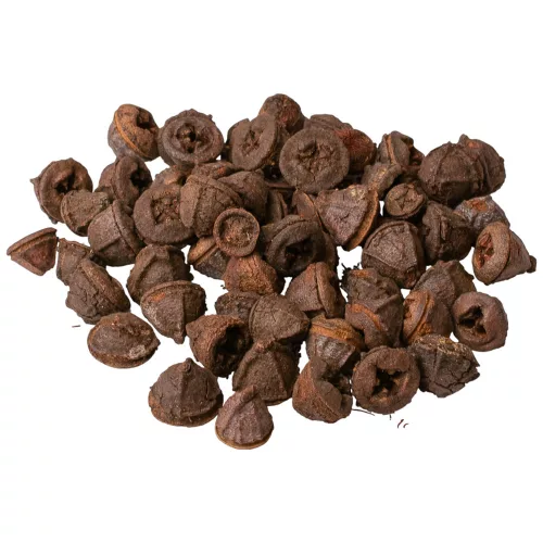 Eukalyptové plody 150g/bal - Prírodná