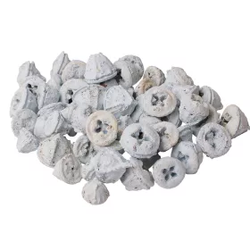 Eukalyptové plody 150g/bal - Bielené