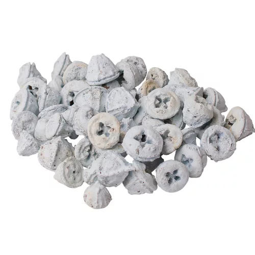 Eukalyptové plody 150g/bal - Bielené