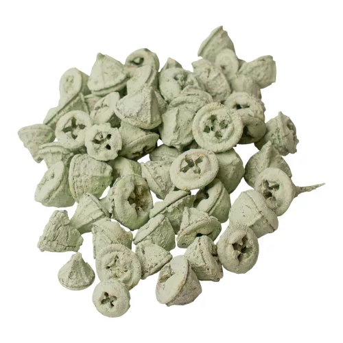 Eukalyptové plody 150g/bal - Šalviová zelená