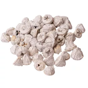 Eukalyptové plody 150g/bal - Biely čaj