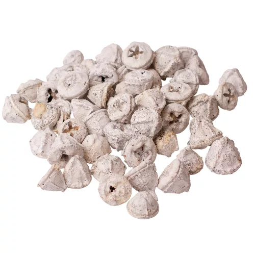 Eukalyptové plody 150g/bal - Biely čaj