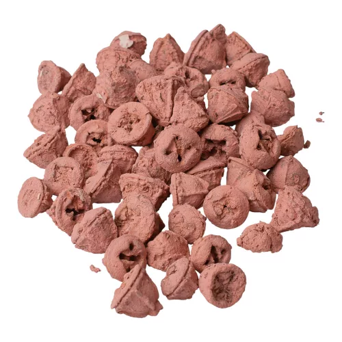 Eukalyptové plody 150g/bal - Pastelová ružová