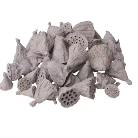 Mini lotos 1–3cm, 50ks./bal - Popolavosivá