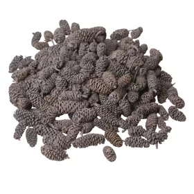 Borovica-breza 150g/bal - Oceánska modrá