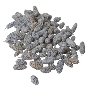 Borovica-breza 150g/bal - Popolavosivá