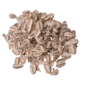 Arjun Mini 200g/bal - Biely čaj