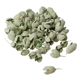 Bakuli 150g/bal - Šalviová zelená