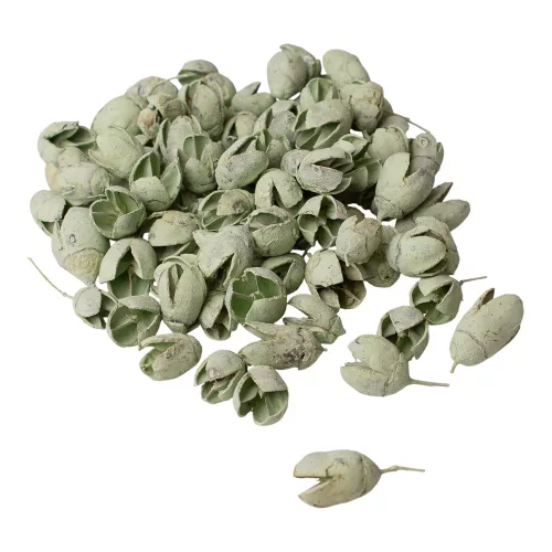 Bakuli 150g/bal - Šalviová zelená