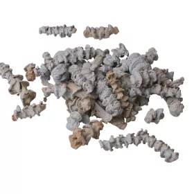 Banánová stonka 150g/bal - Oceánska modrá