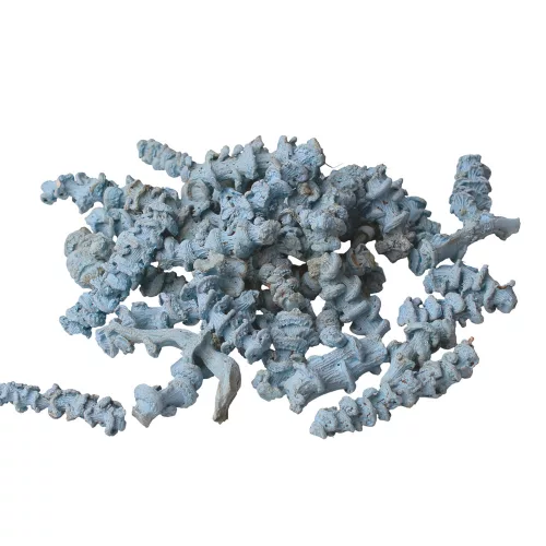 Banánová stonka 150g/bal - Studená modrá