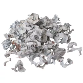 Kučeravé plody 150g/bal - Oceánska modrá