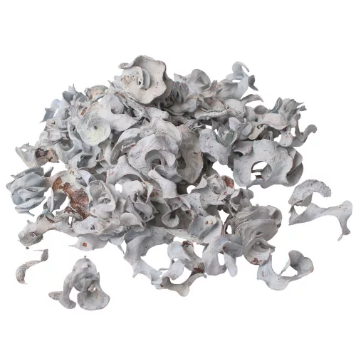 Kučeravé plody 150g/bal - Oceánska modrá