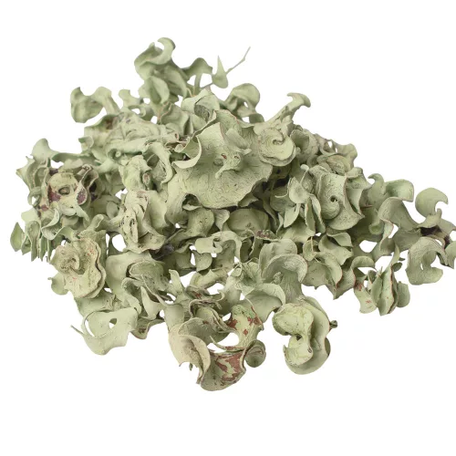 Kučeravé plody 150g/bal - Šalviová zelená