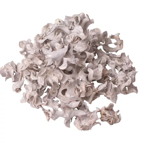 Kučeravé plody 150g/bal - Biely čaj