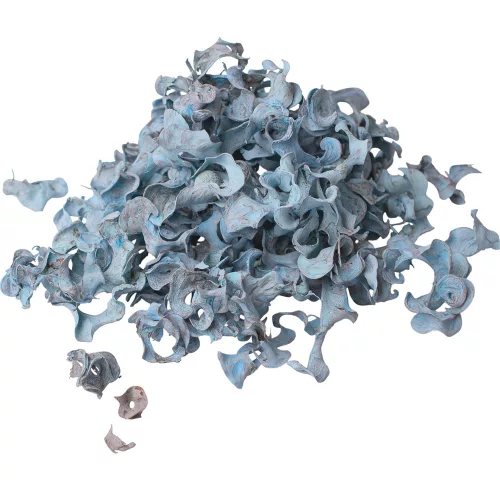 Kučeravé plody 150g/bal - Studená modrá