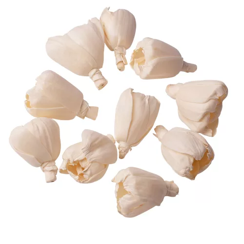 Shola tulipán 6cm 10ks./bal - Prírodná