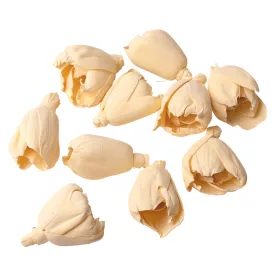 Shola tulipán 6cm 10ks./bal - Bielená