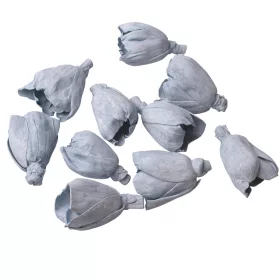 Shola tulipán 6cm 10ks./bal - Oceánska modrá