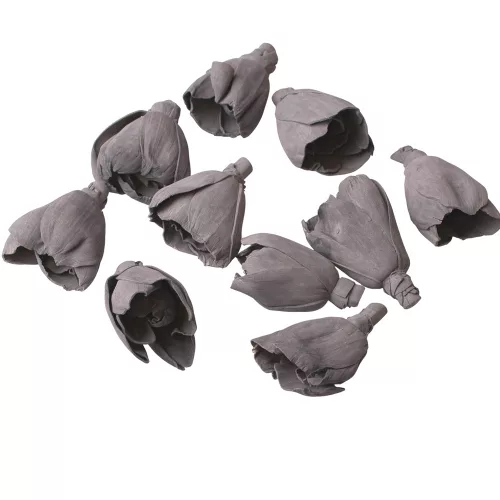 Shola tulipán 6cm 10ks./bal - Popolavosivá