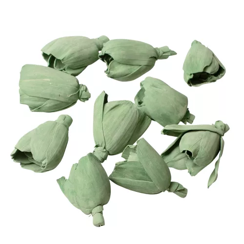 Shola tulipán 6cm 10ks./bal - Šalviová zelená
