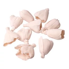 Shola tulipán 6cm 10ks./bal - Biely čaj