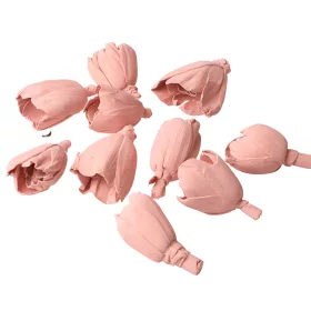 Shola tulipán 6cm 10ks./bal - Pastelová ružová