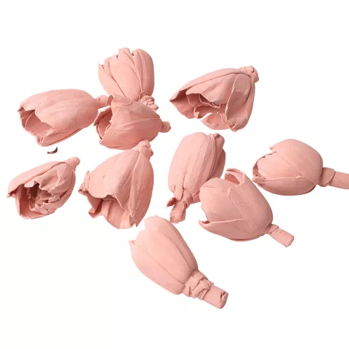 Shola tulipán 6cm 10ks./bal - Pastelová ružová