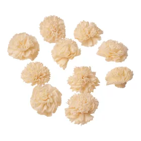 Shola karafiát 4cm 10ks./bal - Prírodná