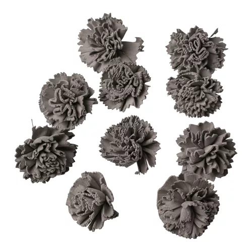 Shola karafiát 4cm 10ks./bal - Popolavosivá