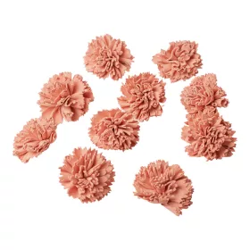 Shola karafiát 4cm 10ks./bal - Pastelová ružová