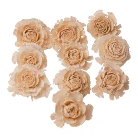 Cédrová ruža 3–5cm 10ks./bal - Bielená