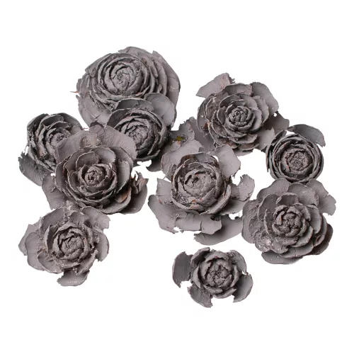 Cédrová ruža 3–5cm 10ks./bal - Popolavosivá