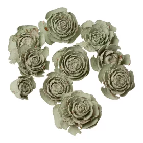 Cédrová ruža 3–5cm 10ks./bal - Šalviová zelená