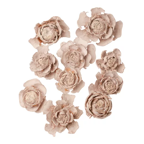 Cédrová ruža 3–5cm 10ks./bal - Biely čaj