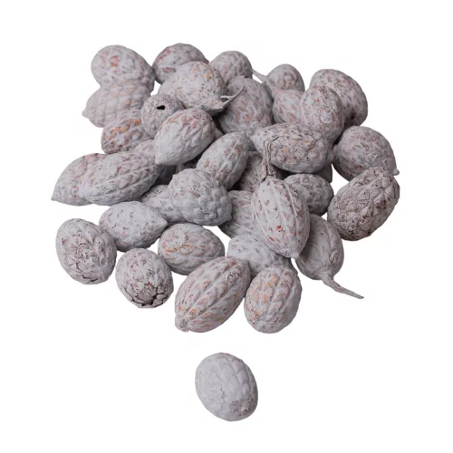 Trstinové plody 150g/bal - Oceánska modrá