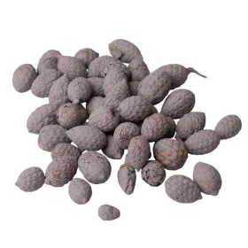 Trstinové plody 150g/bal - Popolavosivé