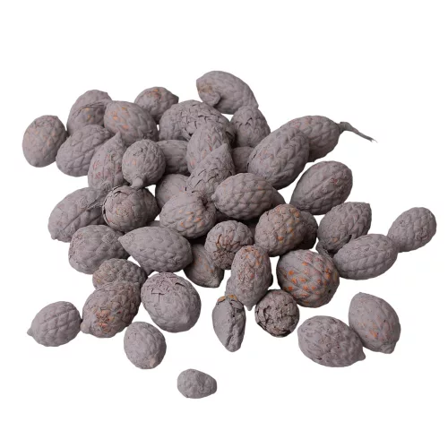 Trstinové plody 150g/bal - Popolavosivé