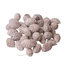 Trstinové plody 150g/bal - Biely čaj