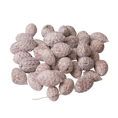 Trstinové plody 150g/bal - Biely čaj