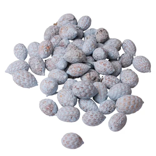 Trstinové plody 150g/bal - Studená modrá