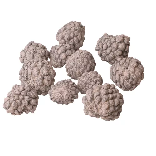 Cukrové jablko 150g/bal - Biely čaj