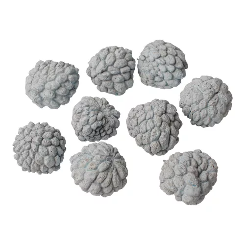 Cukrové jablko 150g/bal - Studená modrá