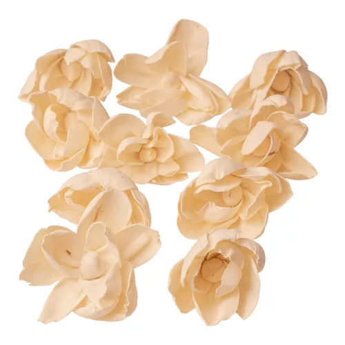 Shola pivónia 10ks. - Prírodná