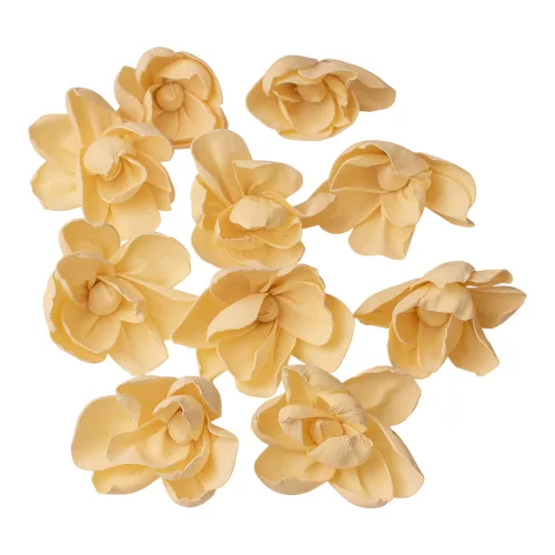 Shola pivónia 10ks. - Bielená