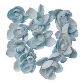 Shola pivónia 10ks. - Oceánska modrá