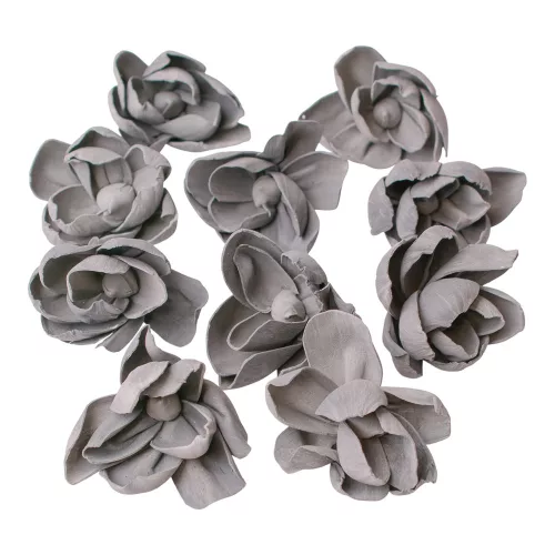 Shola pivónia 10ks. - Popolavosivá